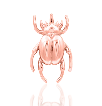 Rhino Beetle Gold Top