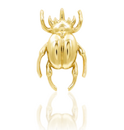 Rhino Beetle Gold Top