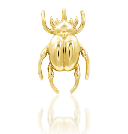 Rhino Beetle Gold Top