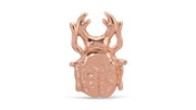 Scarab Beetle