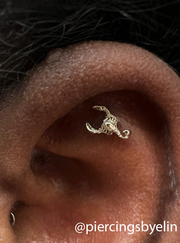 Scorpion