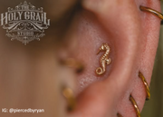 Spined Seahorse