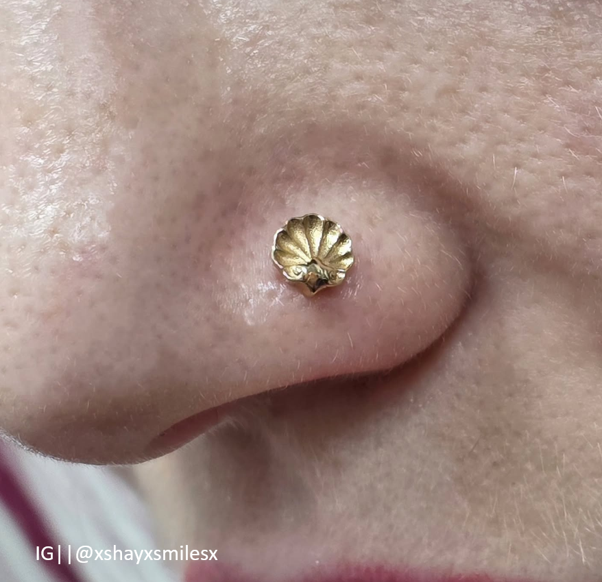 Shell
