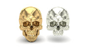 Jaw Motion Skull