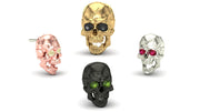 Jaw Motion Skull
