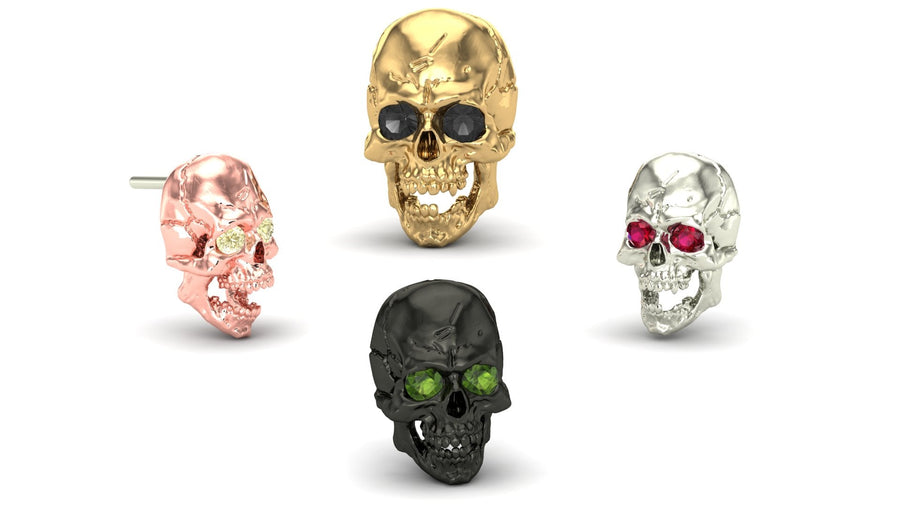 Jaw Motion Skull