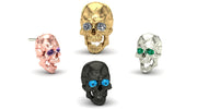 Jaw Motion Skull