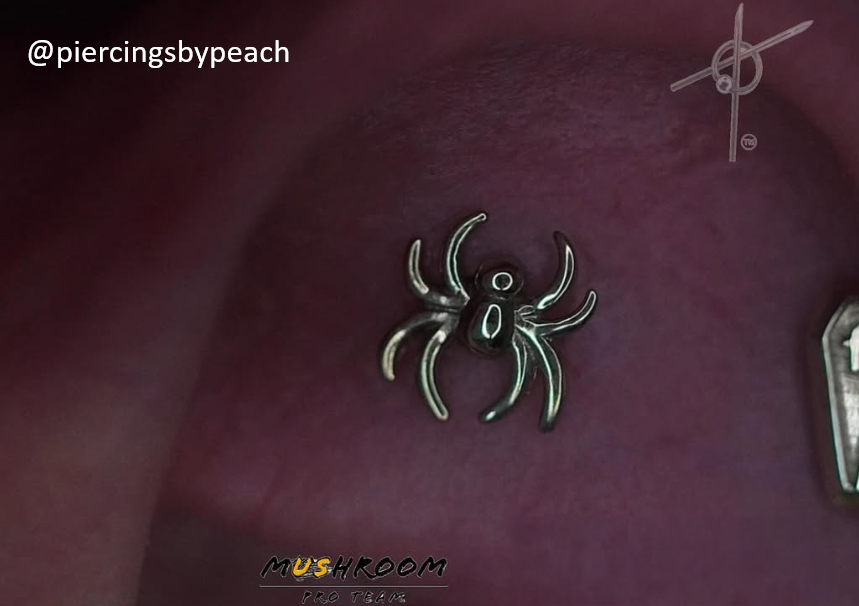 Spider