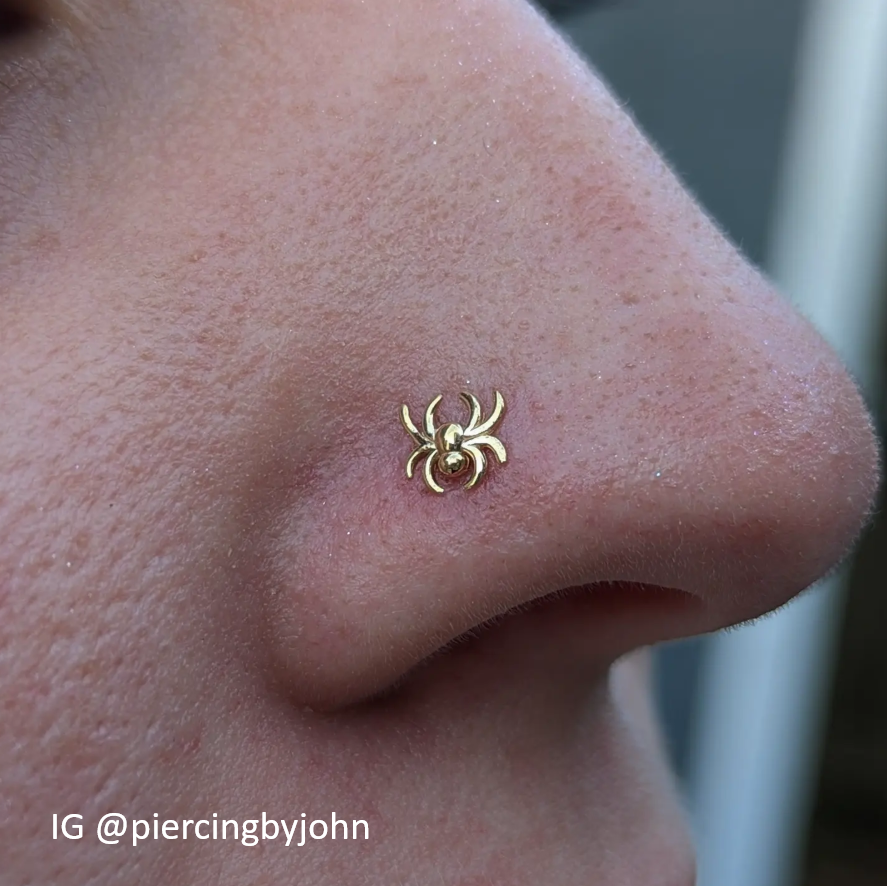 Spider