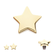 14k Gold Flat Star Threaded Dermal Top