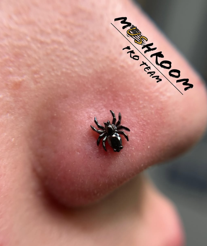 Tarantula with Gem