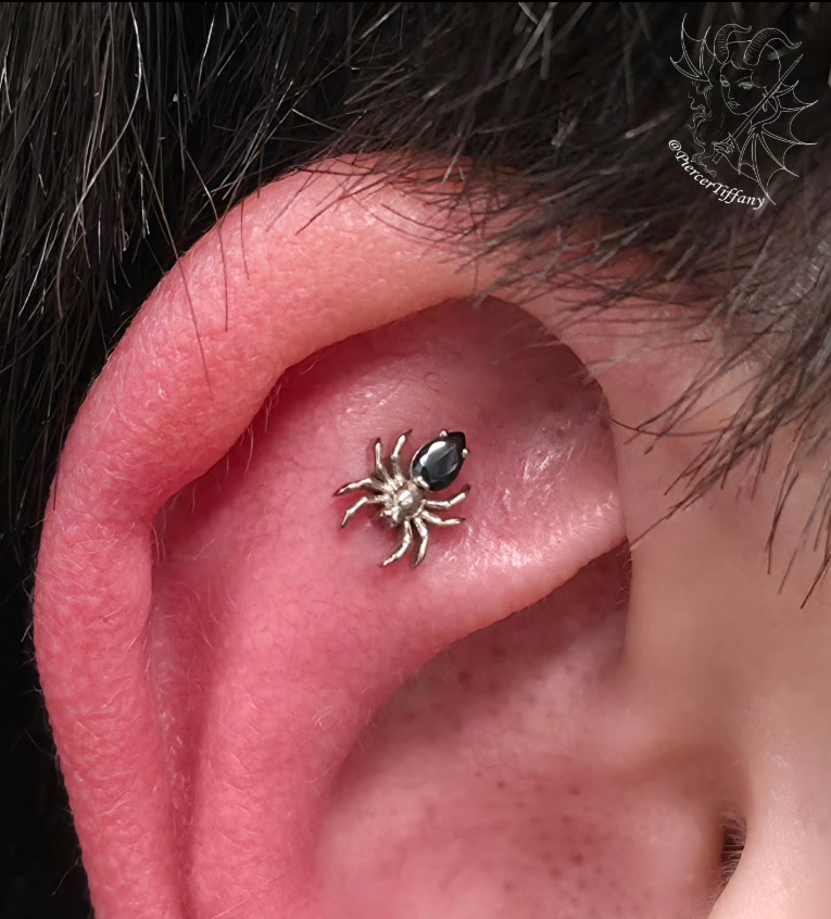 Tarantula with Gem