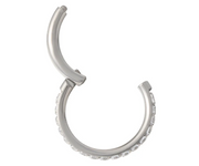 Front Facing Clear CZ Clicker