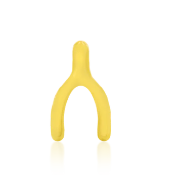Gold Wishbone Top